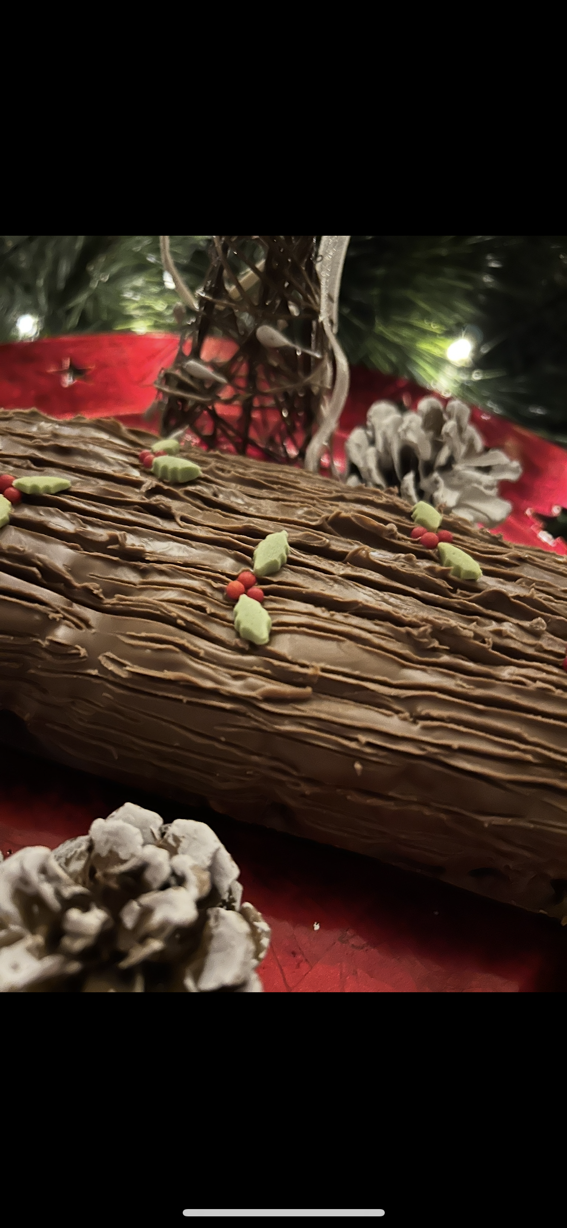 Christmas Swirl Log